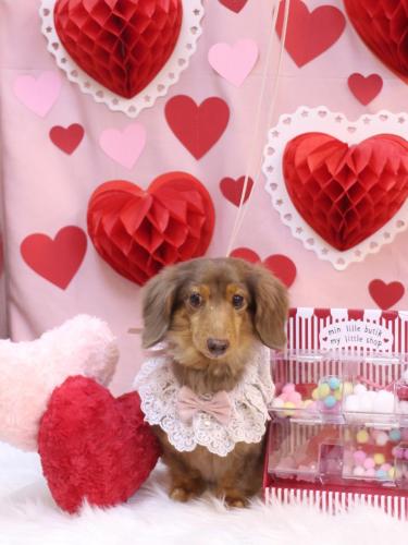 20240225モカくん